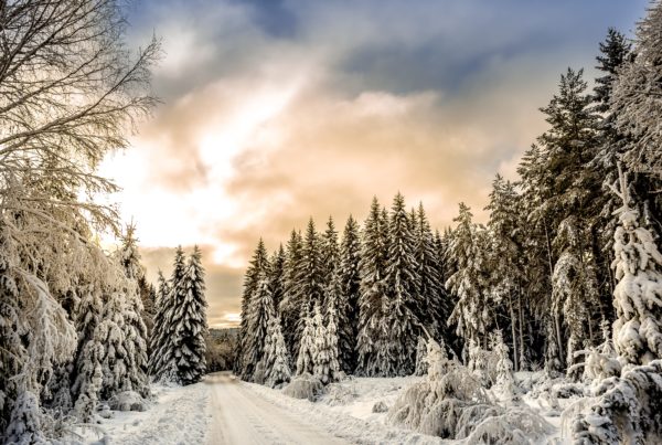 winter-property-maintenance